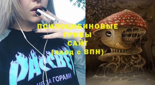 PSILOCYBIN Арсеньев