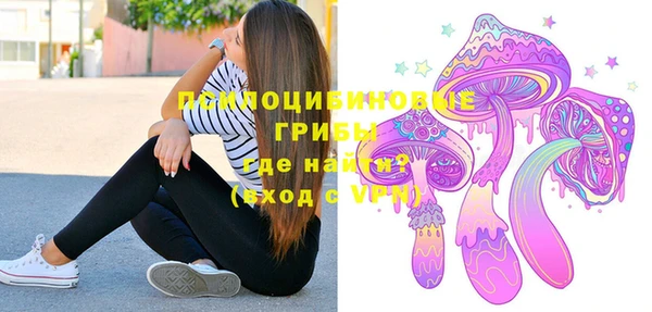 PSILOCYBIN Арсеньев