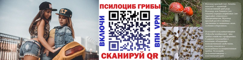 Купить закладки  Баксан  Галлюциногенные грибы ЛСД 