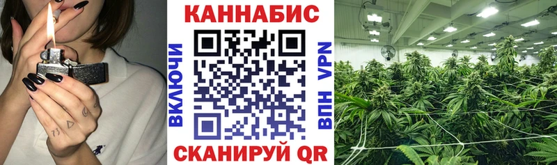 Купить  Баксан  МАРИХУАНА SATIVA & INDICA 
